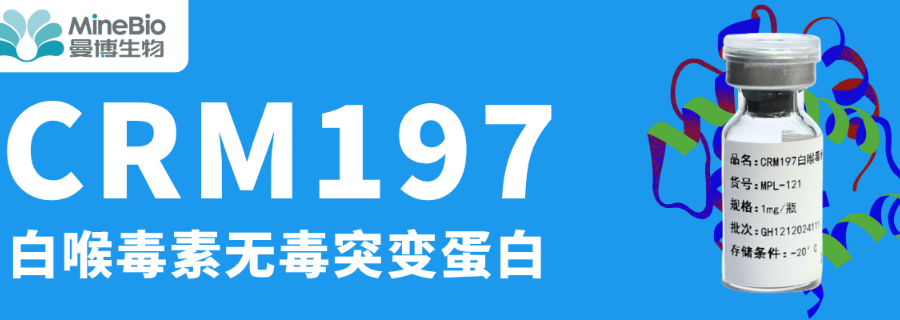 上海GMP等級Diphtheriatoxin申報案例 歡迎來電 上海曼博生物醫(yī)藥科技供應