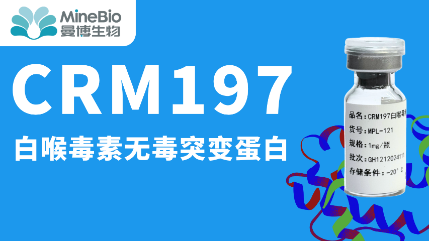 上海疫苗佐劑白喉毒素突變體供應(yīng)商 信息推薦 上海曼博生物醫(yī)藥科技供應(yīng)