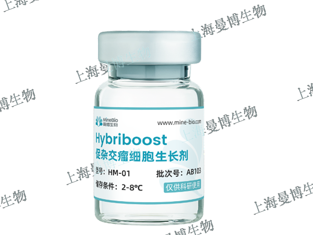 高亲和力杂交瘤培养基,杂交瘤