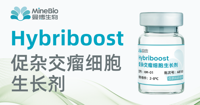 上海誘導(dǎo)分化雜交瘤 真誠(chéng)推薦 上海曼博生物醫(yī)藥科技供應(yīng)