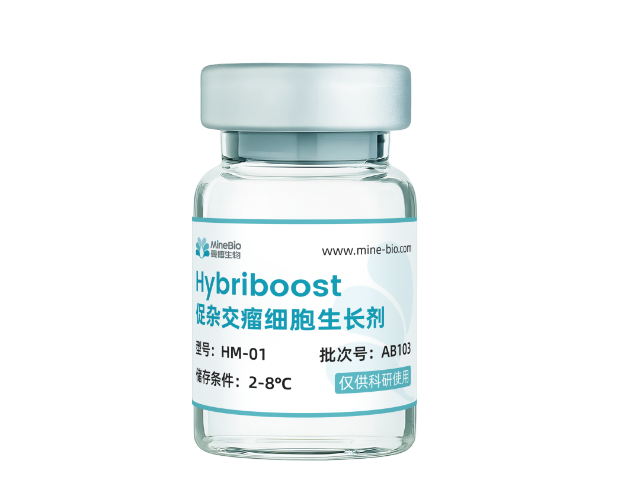 上海雜交瘤保存方案 歡迎咨詢 上海曼博生物醫(yī)藥科技供應(yīng)