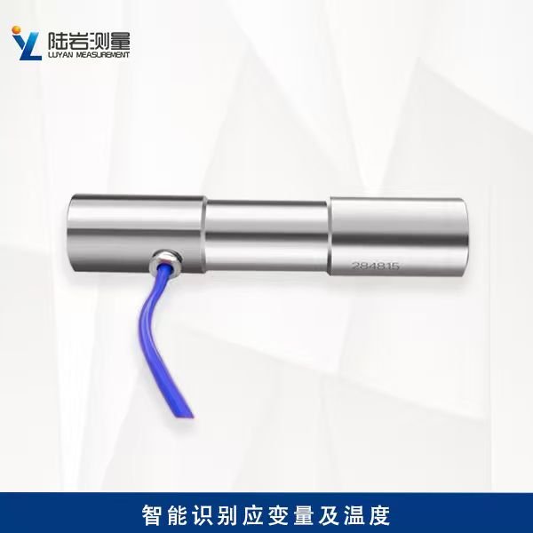 LY229振弦式鋼筋計