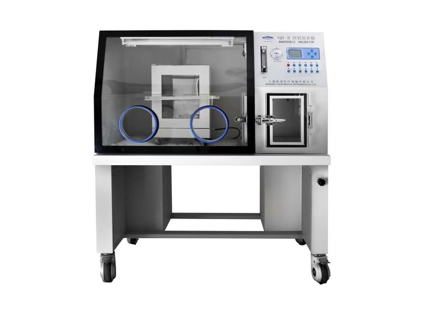 厭氧培養(yǎng)箱HYQX