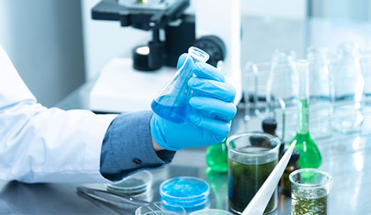 著色穩(wěn)定劑的作用與顏色穩(wěn)定性機制