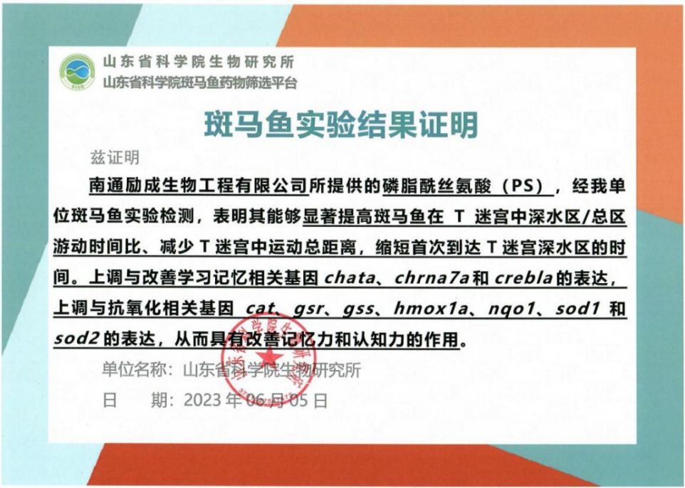 斑马鱼2