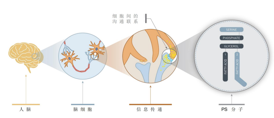 为什么Rimind PS®能成为引导行业标准的“智慧之选”？