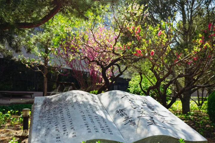 南通成绩不好高考留学,高考