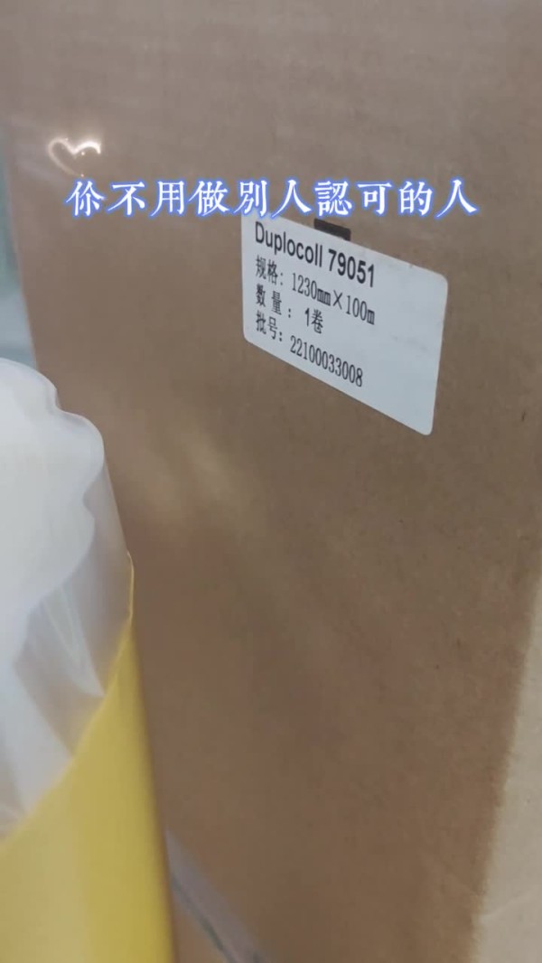 Lohmann羅曼膠帶79051 工業膠帶 雙面膠帶 PET 泡棉膠帶 保護膜