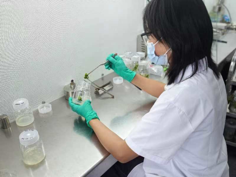 祝贺信念医药AAV药物递交上市申请
