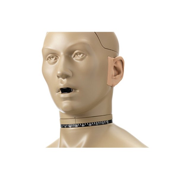 GRAS 45BC KEMAR 帶人工嘴的頭和軀干模擬器