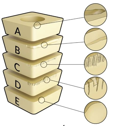 圖片1.png 圖片1.png