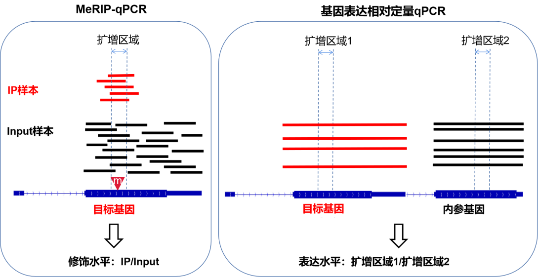 qPCR对比示意图