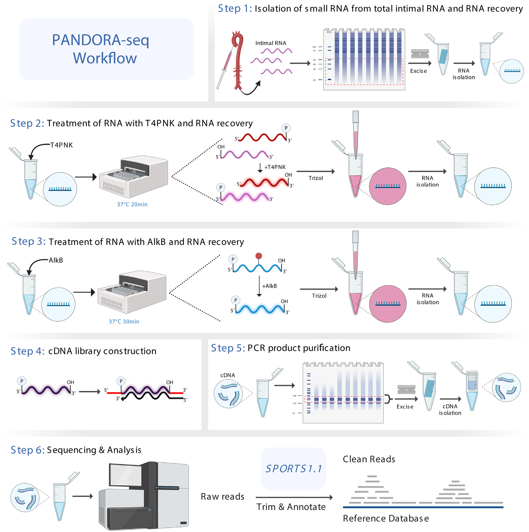 pandora-seq