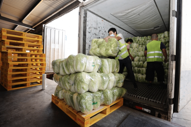 湖州大型冷庫上門安裝 杭州晴雪制冷設備供應