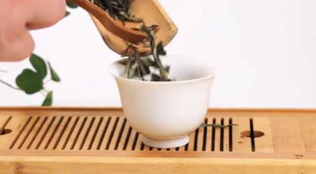 河北項(xiàng)目直播帶貨加盟 誠信為本 大連橙式數(shù)字科技供應(yīng)