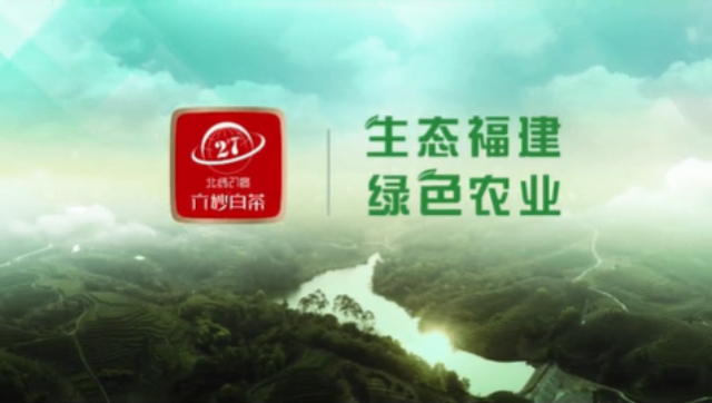 天津市場新媒體自媒體代運營代理品牌,新媒體自媒體代運營