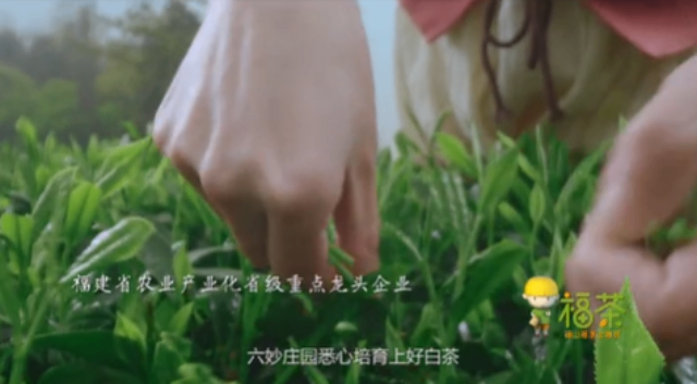 大連互聯(lián)網(wǎng)新媒體自媒體代運(yùn)營服務(wù)電話 貼心服務(wù) 大連橙式數(shù)字科技供應(yīng)