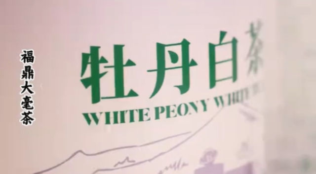 營(yíng)口第三方新媒體自媒體代運(yùn)營(yíng)類型,新媒體自媒體代運(yùn)營(yíng)
