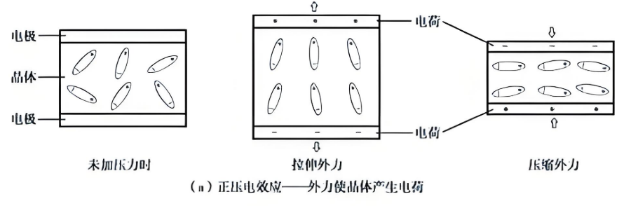 壓電陶瓷的逆電效應 壓電陶瓷的逆電效應