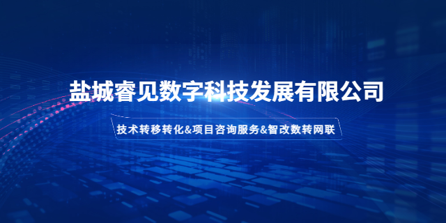 建湖科技型企業(yè)產(chǎn)創(chuàng)融合轉(zhuǎn)型 誠信服務(wù) 鹽城睿見數(shù)字科技發(fā)展供應(yīng)