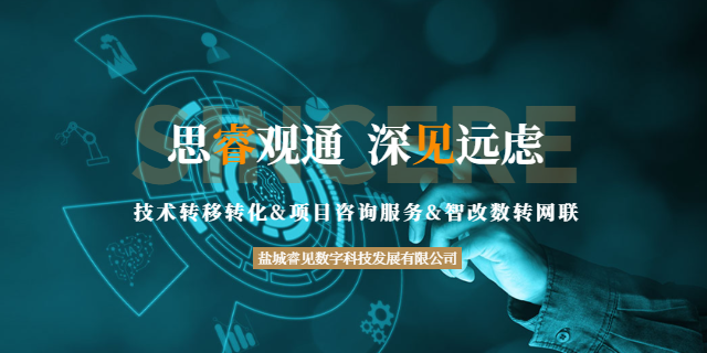 鹽城科技型企業(yè)業(yè)務咨詢落地 誠信經(jīng)營 鹽城睿見數(shù)字科技發(fā)展供應