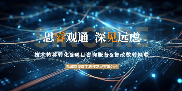 大豐區(qū)量子信息產(chǎn)創(chuàng)融合專項(xiàng)資金 誠信經(jīng)營 鹽城睿見數(shù)字科技發(fā)展供應(yīng);