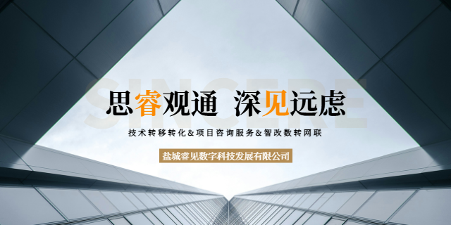 響水江蘇專精特新認定材料 誠信服務 鹽城睿見數字科技發(fā)展供應