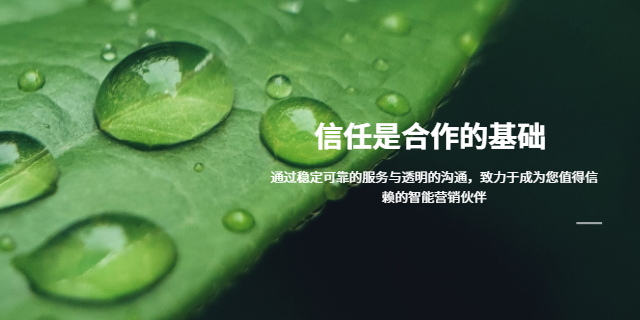 晉中智能營銷推廣