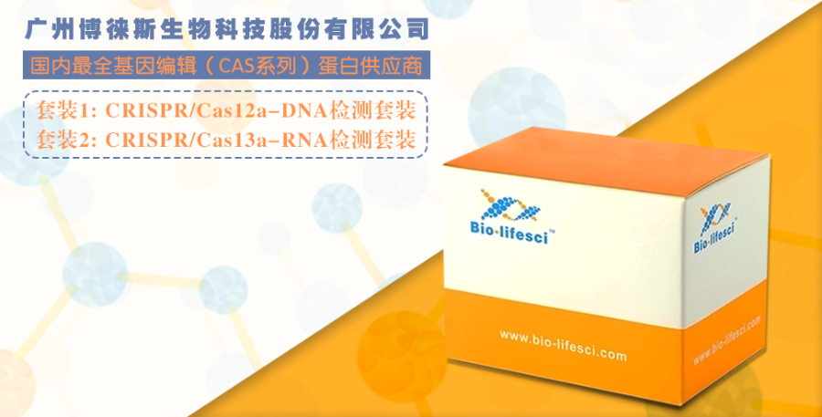 珠三角博徕斯 CRISPR-Cas 蛋白CRISPR-Cas蛋白