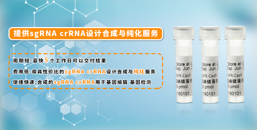 上海RNP 复合物CRISPR-Cas