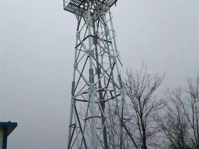 定制监控塔检测