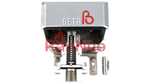 湖北供应荷兰Beta压力温度开关怎么选型,荷兰Beta压力温度开关