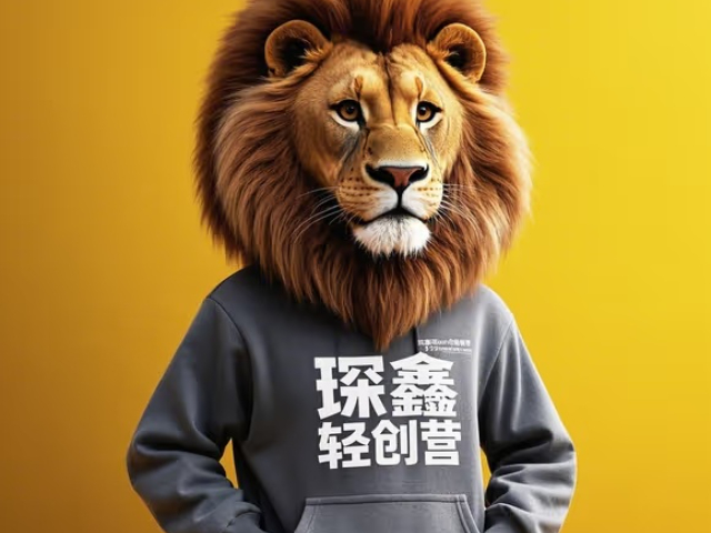 北京琛鑫輕創(chuàng)營廠家批發(fā)價 推薦咨詢 大連琛鑫科技供應