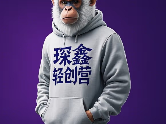 天津工程琛鑫輕創(chuàng)營實訓歡迎選購 歡迎咨詢 大連琛鑫科技供應