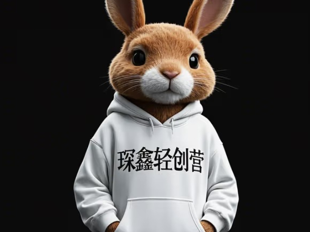 安徽智能琛鑫輕創(chuàng)營實訓(xùn)解決方案 真誠推薦 大連琛鑫科技供應(yīng)