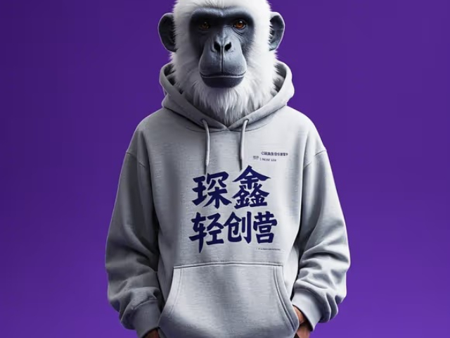天津全自動(dòng)琛鑫輕創(chuàng)營 創(chuàng)新服務(wù) 大連琛鑫科技供應(yīng)