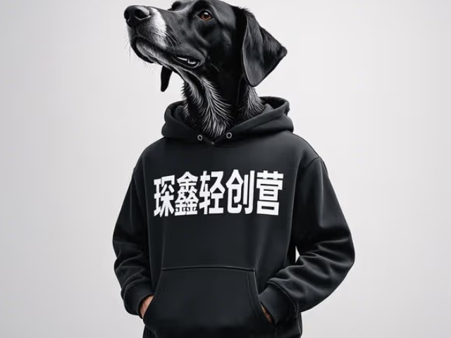 河北附近琛鑫輕創(chuàng)營實訓(xùn)互惠互利 貼心服務(wù) 大連琛鑫科技供應(yīng)