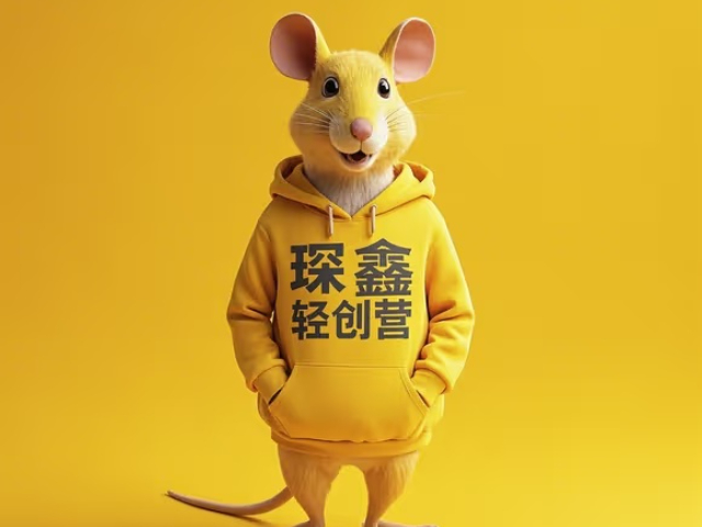 天津哪里有琛鑫輕創(chuàng)營(yíng)實(shí)訓(xùn)供應(yīng)商家 推薦咨詢 大連琛鑫科技供應(yīng)