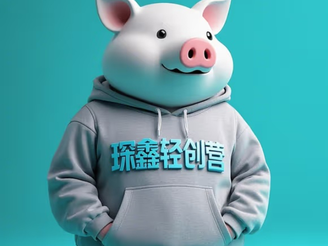 遼寧使用琛鑫輕創(chuàng)營實(shí)訓(xùn)解決方案