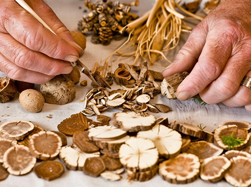 视频回放│药审中心举办2024年第四期“药审云课堂”