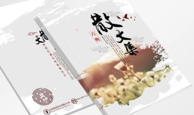 普陀區(qū)定量書刊雜志印刷服務(wù)熱線,書刊雜志印刷