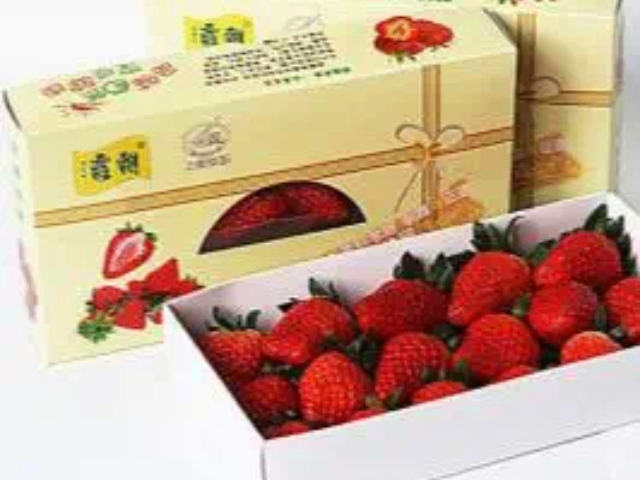 怎樣草莓培育過(guò)程,草莓