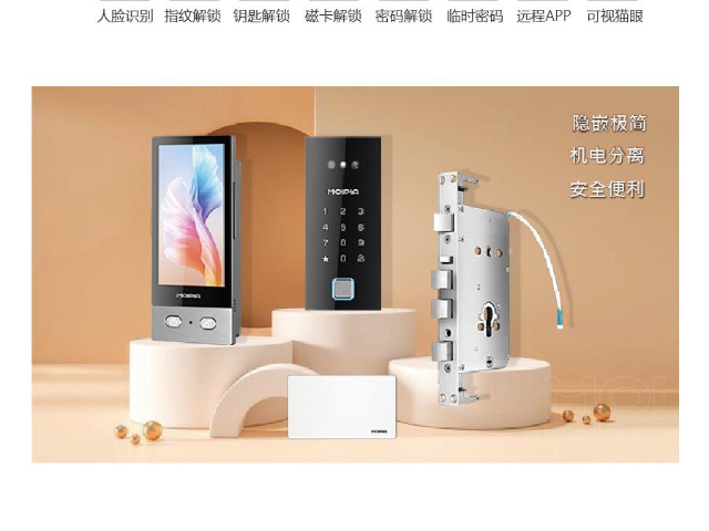 广州安防智能锁机电全分离 广州寞湃科技供应
