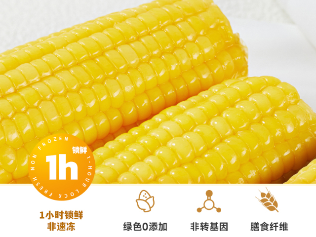 五原傻小胖黑糯玉米廠家,傻小胖