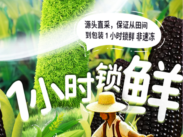 內(nèi)蒙古特產(chǎn)傻小胖玉米禮盒價格,內(nèi)蒙古特產(chǎn)