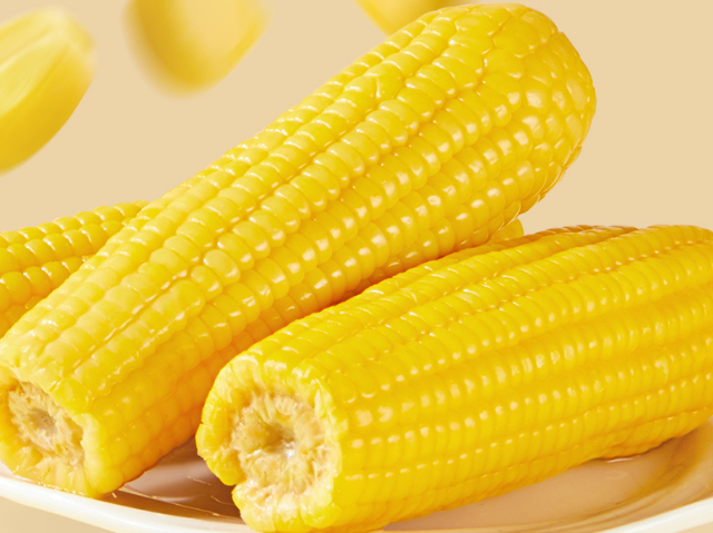 山東紫糯玉米廠家直銷 內(nèi)蒙古傻小胖食品供應;