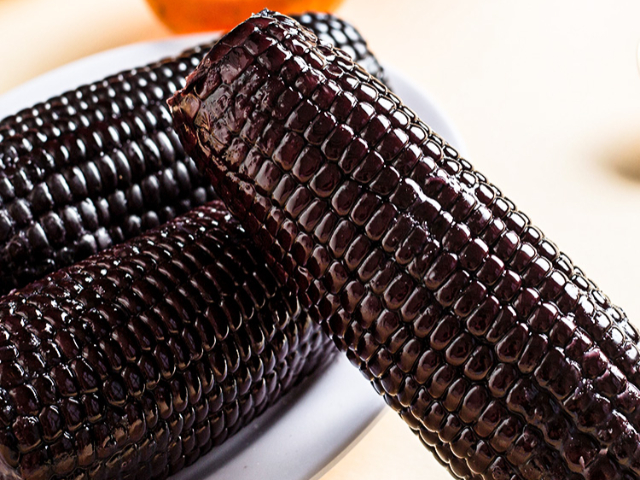 內(nèi)蒙古特產(chǎn)黃糯玉米哪里賣(mài) 內(nèi)蒙古傻小胖食品供應(yīng)