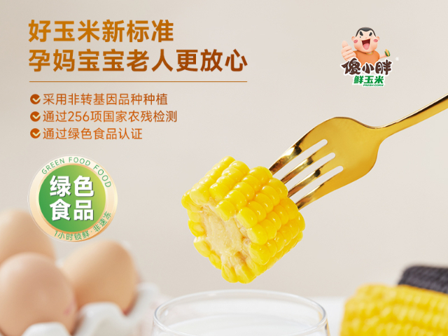 內(nèi)蒙古傻小胖玉米介紹