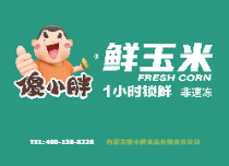 傻小胖玉米
