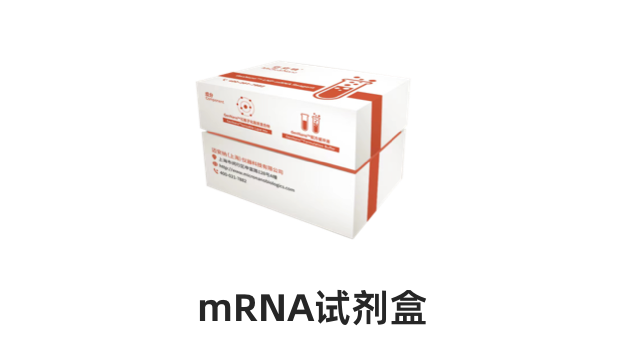 四川研發(fā)型mRNA包封儀器 邁安納(上海)儀器科技供應(yīng)